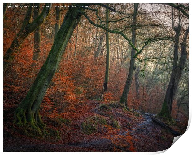 Autumn Path Print by John Ealing