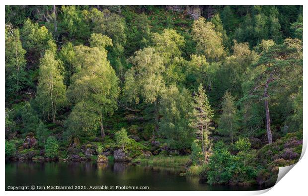 Loch Beannacharan Print by Iain MacDiarmid