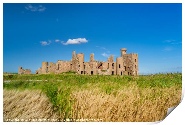 Sunny Slains Castle Print by Iain MacDiarmid