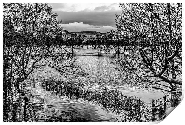  Conwy Valley in Flood  Print by Chris Evans