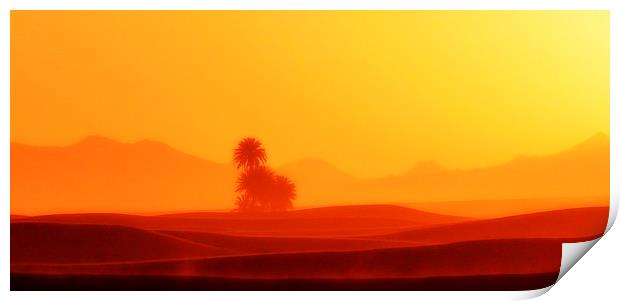  Hot Sahara Desert  Print by HQ Photo