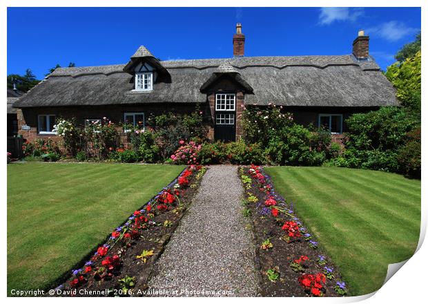 Beautiful Thatched Cottage Print by David Chennell