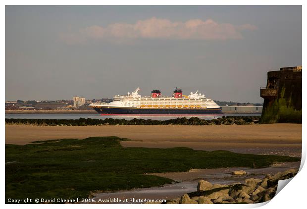 Disney Magic Cruise Liner  Print by David Chennell