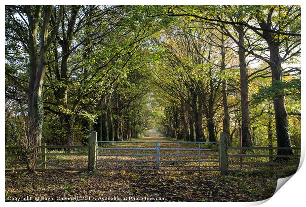 Gateway To Autumn Print by David Chennell