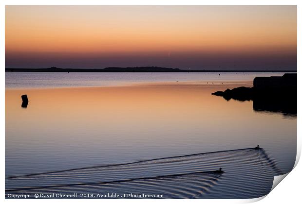 Tranquil Waters Print by David Chennell
