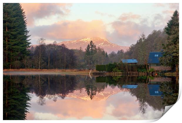 Ben Lomond Reflections Print by Miles Gray