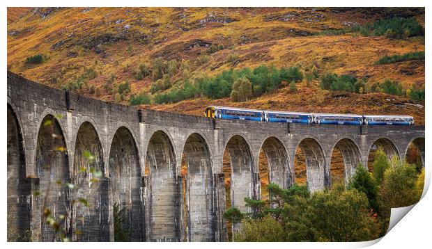 Scotrail crossing the Glenfinnan Viaduct Print by Miles Gray