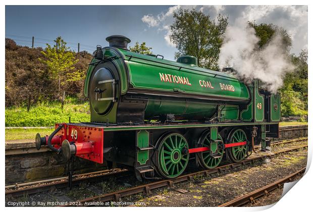 Steam Train at Tanfield Railway Print by Ray Pritchard