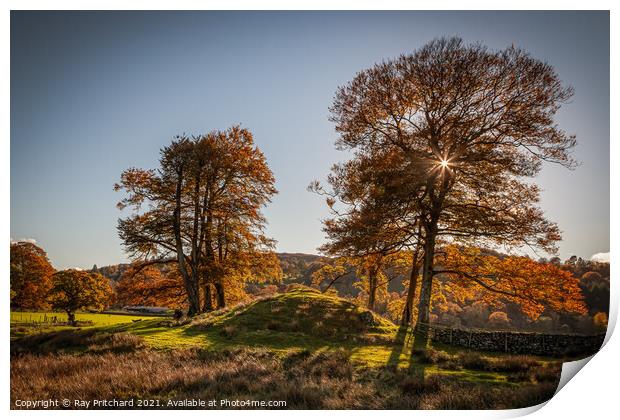 Autumn Trees at Rydal Print by Ray Pritchard
