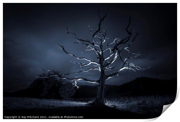 Dead Tree Print by Ray Pritchard