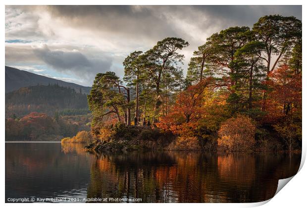 Autumn's Embrace at Friars Crag Print by Ray Pritchard