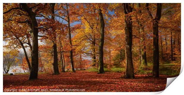 Autumn Colours Around Keswick Print by Ray Pritchard