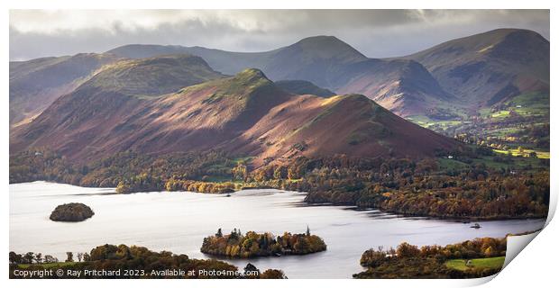 View of Derwent Water and Catbells Print by Ray Pritchard