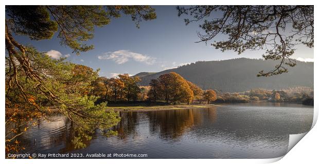 View Over Derwent Water  Print by Ray Pritchard
