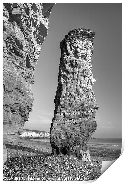 Lot's Wife sea-stack Print by Ray Pritchard