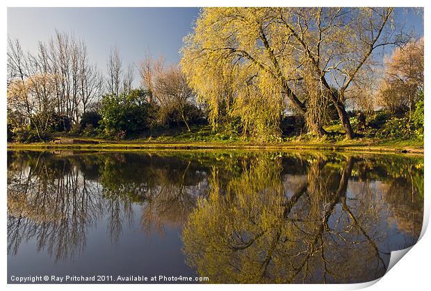 Exhibition Park Print by Ray Pritchard