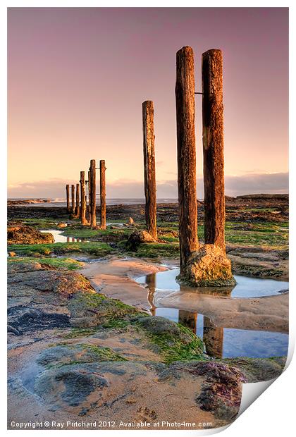Old Posts Print by Ray Pritchard
