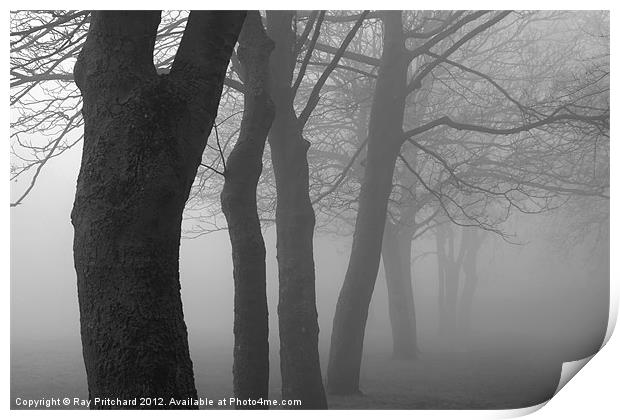 Jarrow in the Mist Print by Ray Pritchard