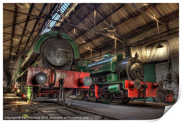 Tanfield Engine Shed Print by Ray Pritchard