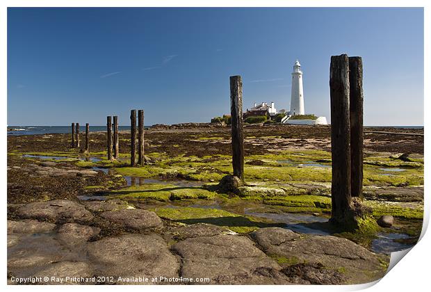 Old Posts at St Marys Print by Ray Pritchard