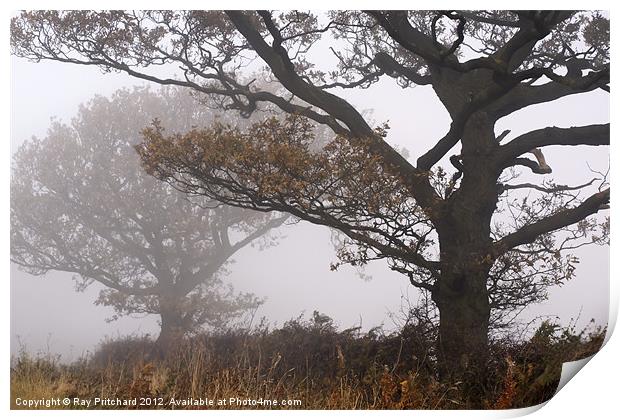 Trees in the Mist Print by Ray Pritchard