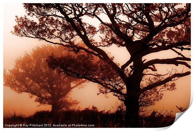 Misty Trees Print by Ray Pritchard