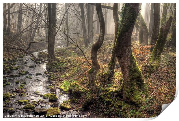 Mystic Woods Print by Ray Pritchard