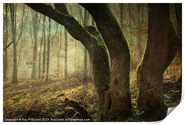 Mystic Woodland Print by Ray Pritchard