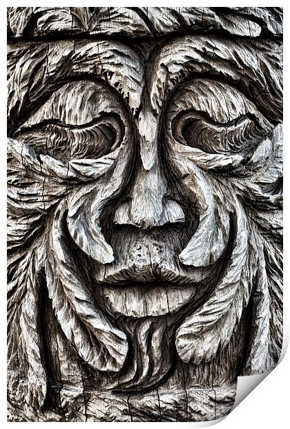 Oi Oak Head! Print by Ray Pritchard