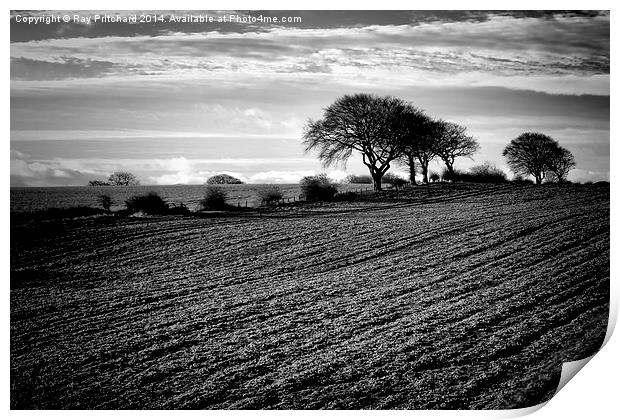 Winter Fields Print by Ray Pritchard