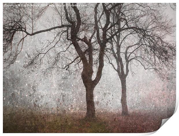 Trees In The Mist Print by Ray Pritchard