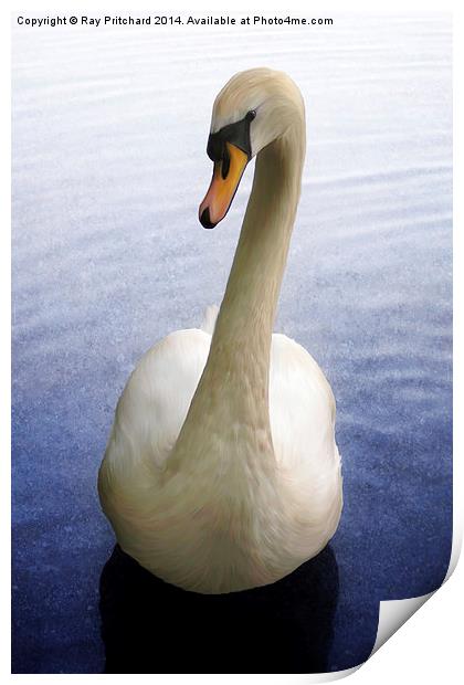 Swan Paintover Print by Ray Pritchard