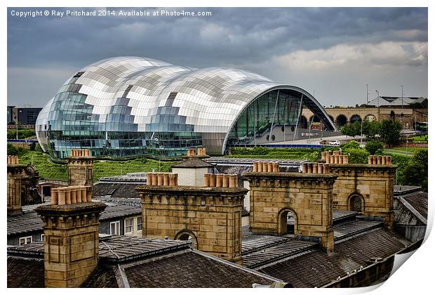 The Sage over Rooftops Print by Ray Pritchard