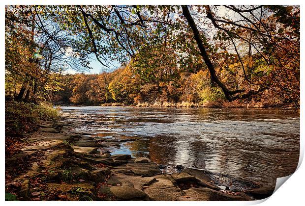  Autumn on the River Wear Print by Ray Pritchard