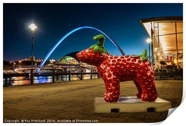 Strawberry Snow dog at Newcastle Print by Ray Pritchard