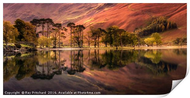 Buttermere Reflections Print by Ray Pritchard