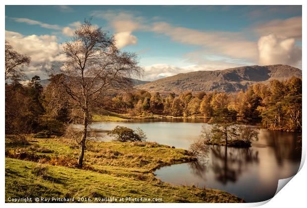 Tarn Hows Print by Ray Pritchard