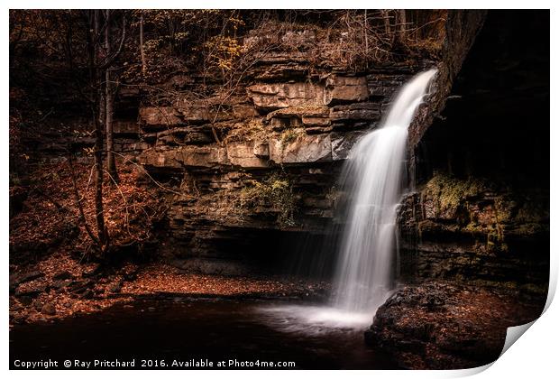 Summerhill Force  Print by Ray Pritchard