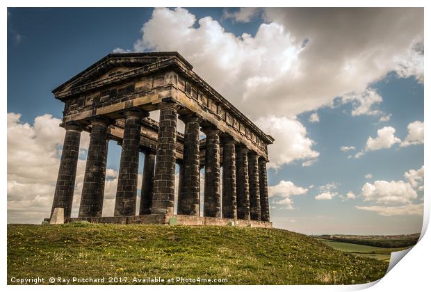 Penshaw Monument  Print by Ray Pritchard