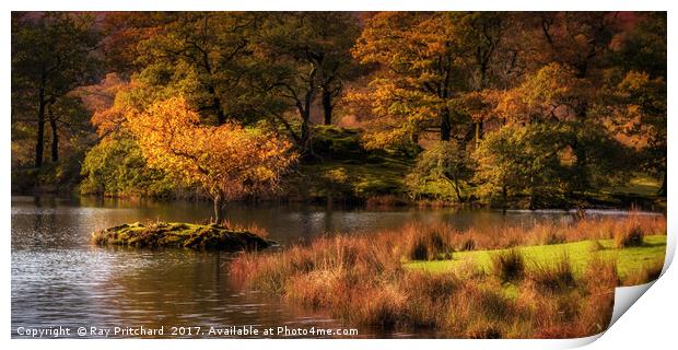 Autumn at Rydal Water Print by Ray Pritchard