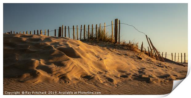 South Shields Sand Dunes  Print by Ray Pritchard