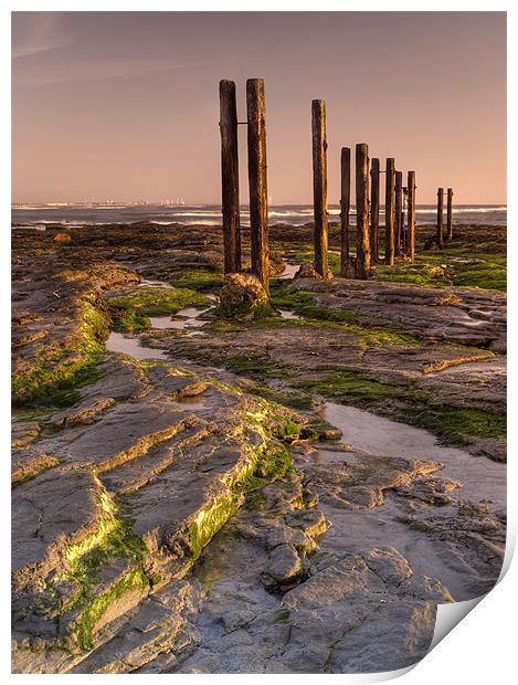 Wooden Posts Print by Ray Pritchard