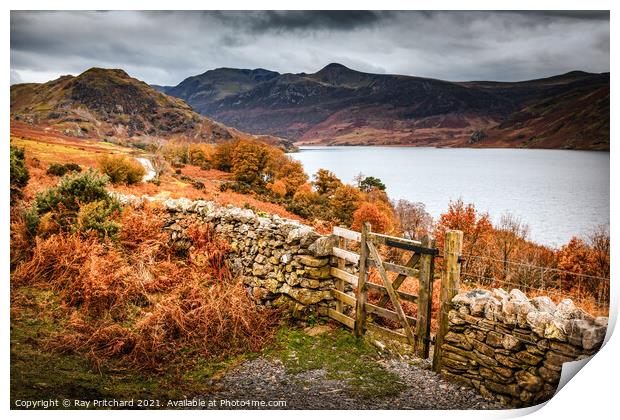 Gateway to Crummock Water  Print by Ray Pritchard