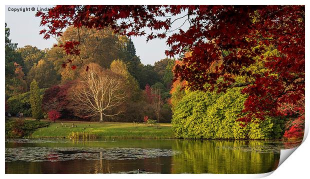  Autumn In Sheffield Park Print by Linda Corcoran LRPS CPAGB
