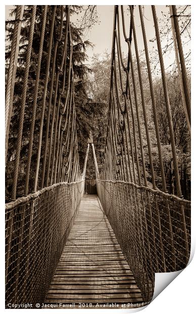 Alnwick Gardens Suspension Bridge  Print by Jacqui Farrell