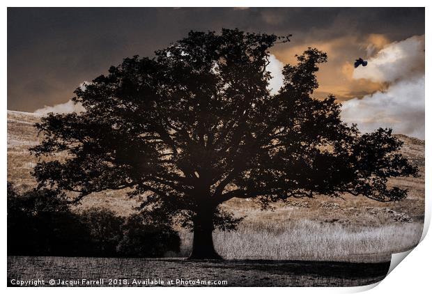 Gothic Tree Print by Jacqui Farrell