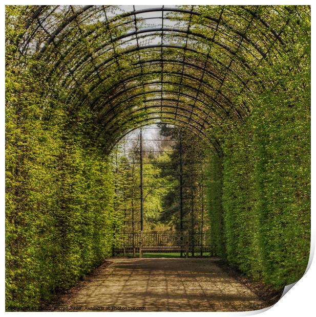 Alnwick Gardens Arbor  Print by Jacqui Farrell