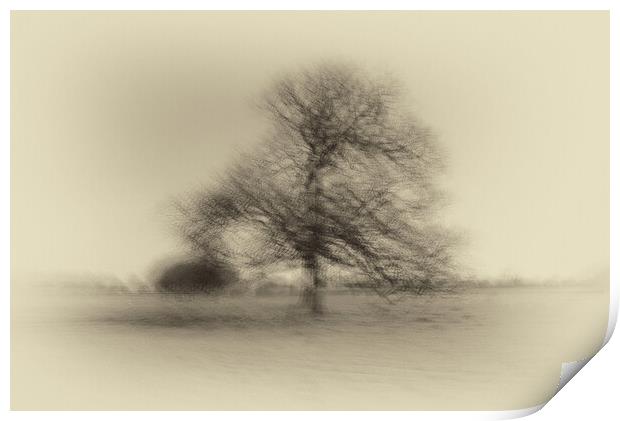 Tree Multiple exposures Print by chris smith