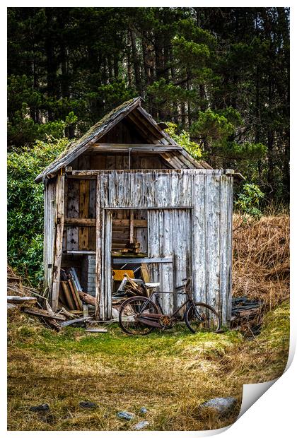 Abandoned shed Print by chris smith