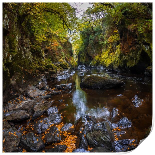 Fairy glen wales Print by chris smith